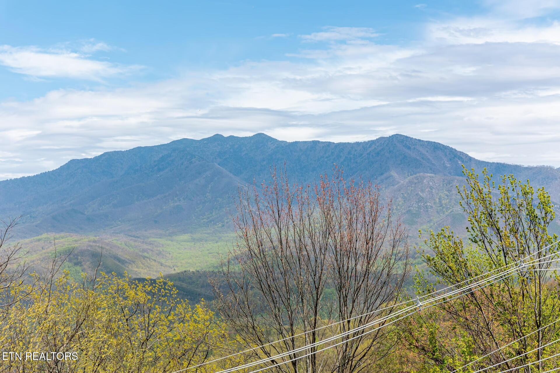 1066 Ski View Drive Gatlinburg TN 37738