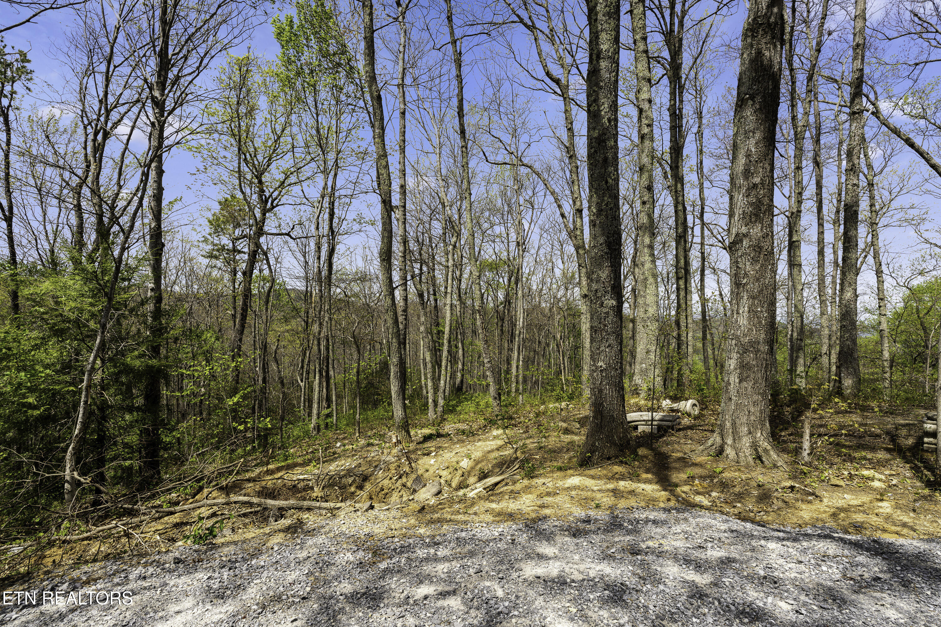 1066 Ski View Drive Gatlinburg TN 37738