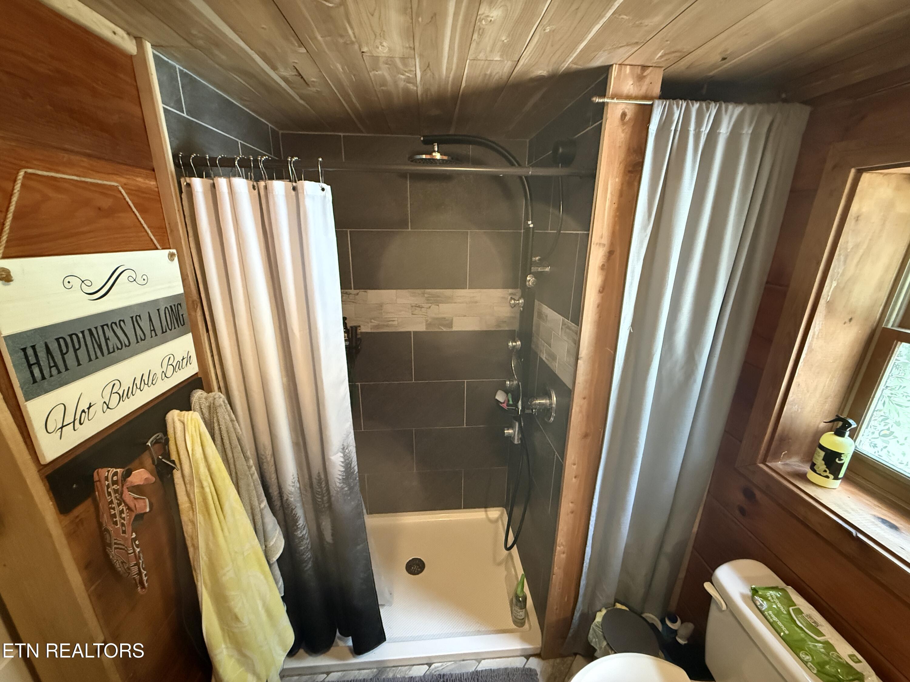 246 Lakeview Tellico Plains TN 37385
