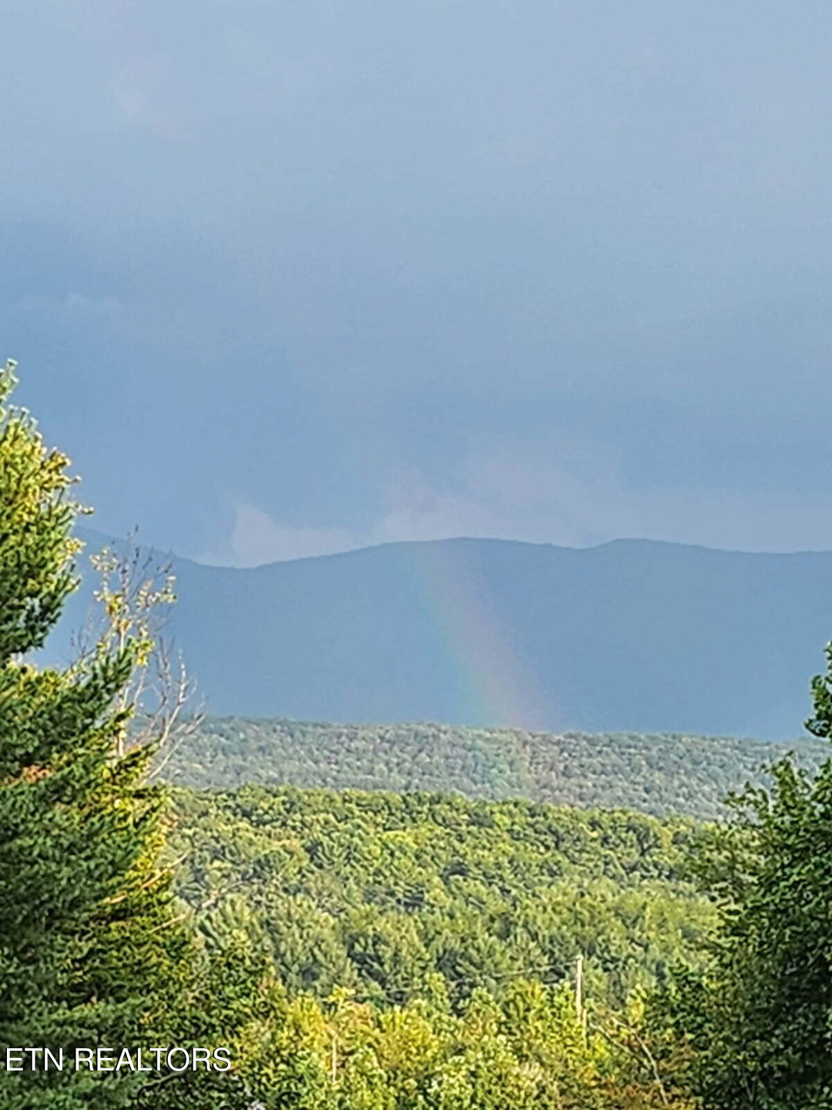 246 Lakeview Tellico Plains TN 37385