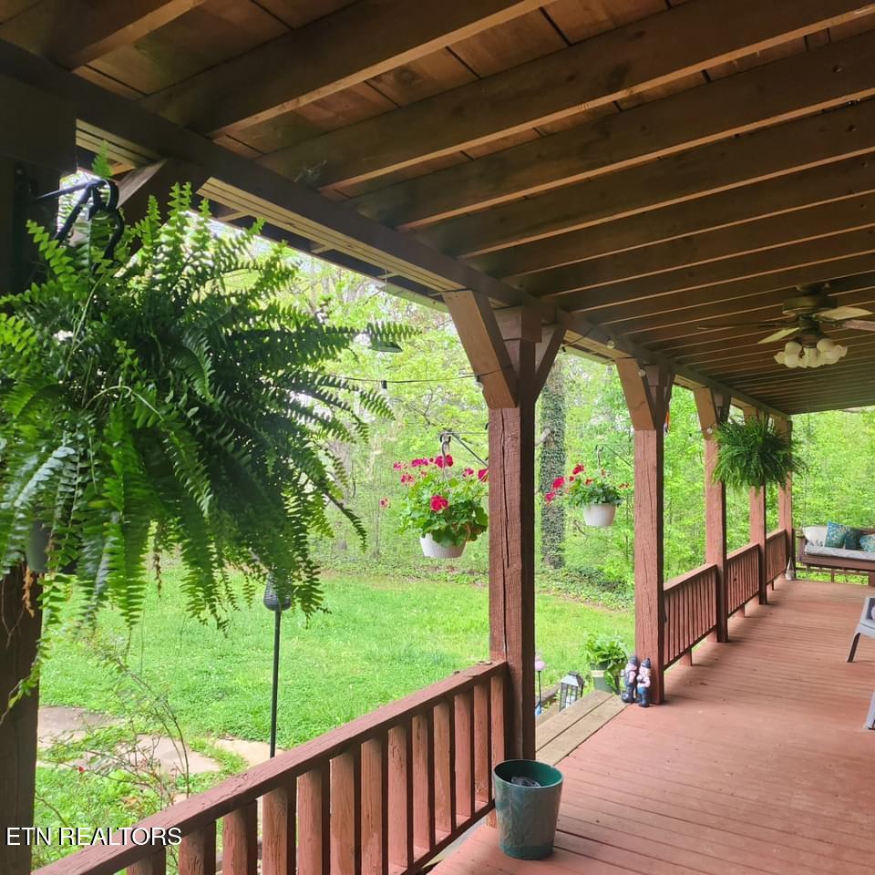 246 Lakeview Tellico Plains TN 37385