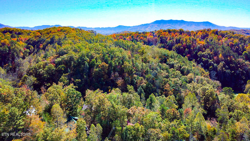 2015 Bird Ridge Road Sevierville TN 37876