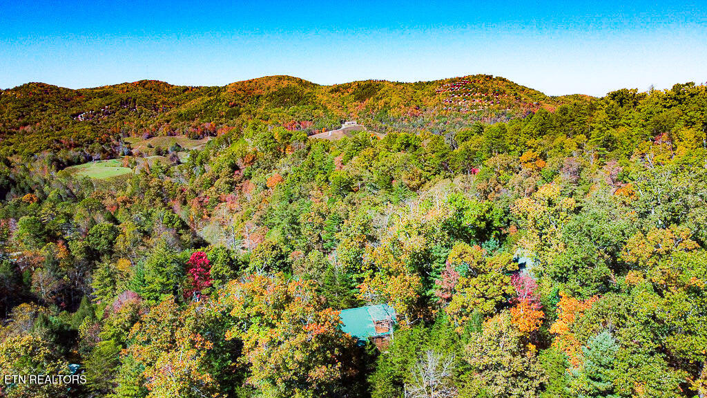 2015 Bird Ridge Road Sevierville TN 37876