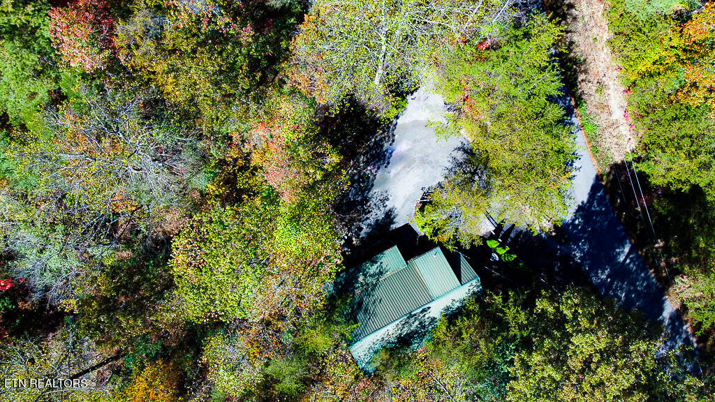2015 Bird Ridge Road Sevierville TN 37876