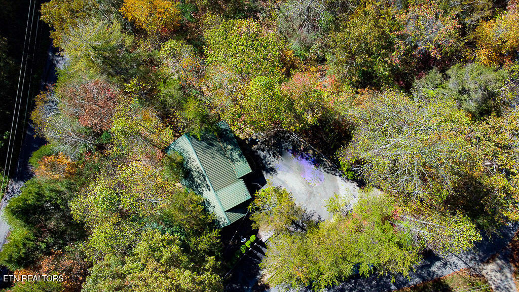 2015 Bird Ridge Road Sevierville TN 37876