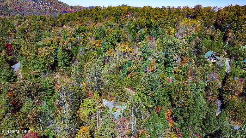 2015 Bird Ridge Road Sevierville TN 37876