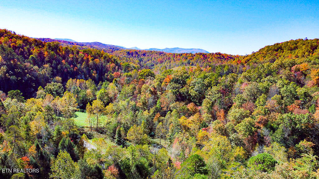 2015 Bird Ridge Road Sevierville TN 37876