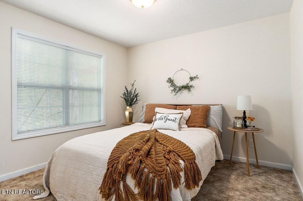 475 Lauren Lane Baxter TN 38544