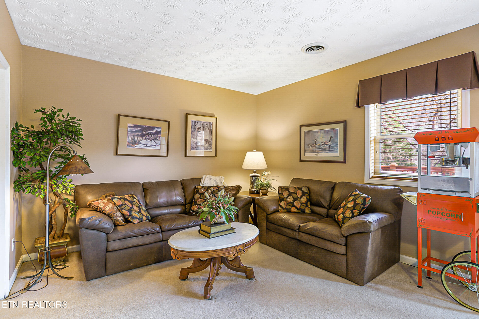 429 Filet Lane Dandridge TN 37725