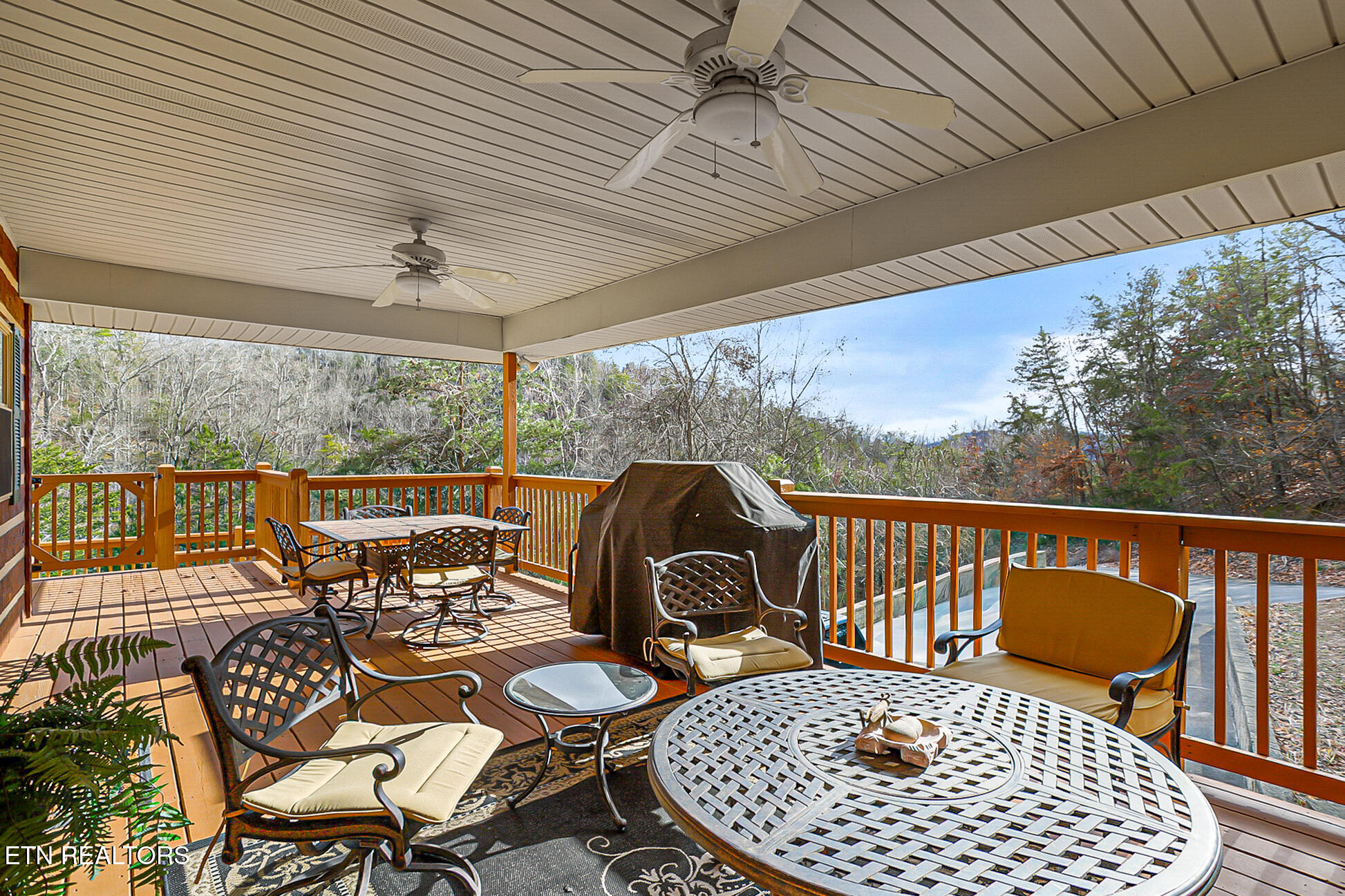 429 Filet Lane Dandridge TN 37725