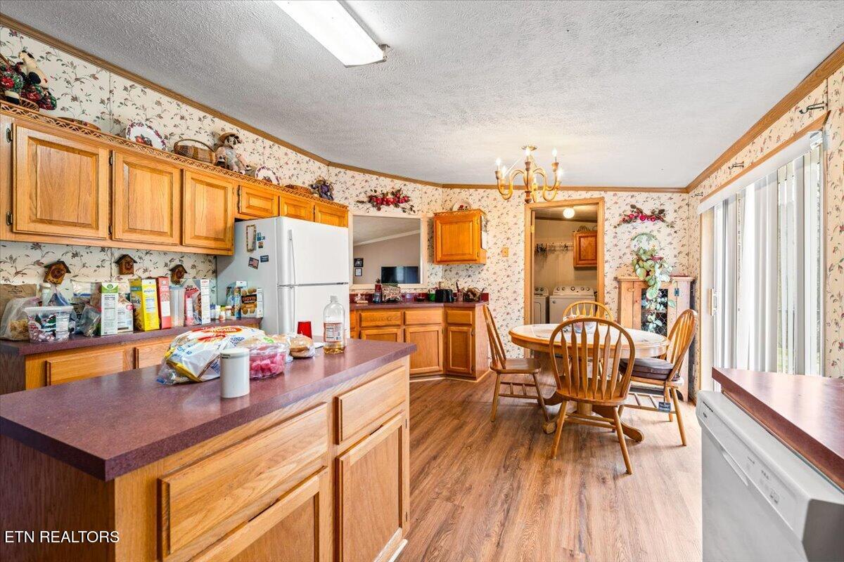 223 White Lane Caryville TN 37714