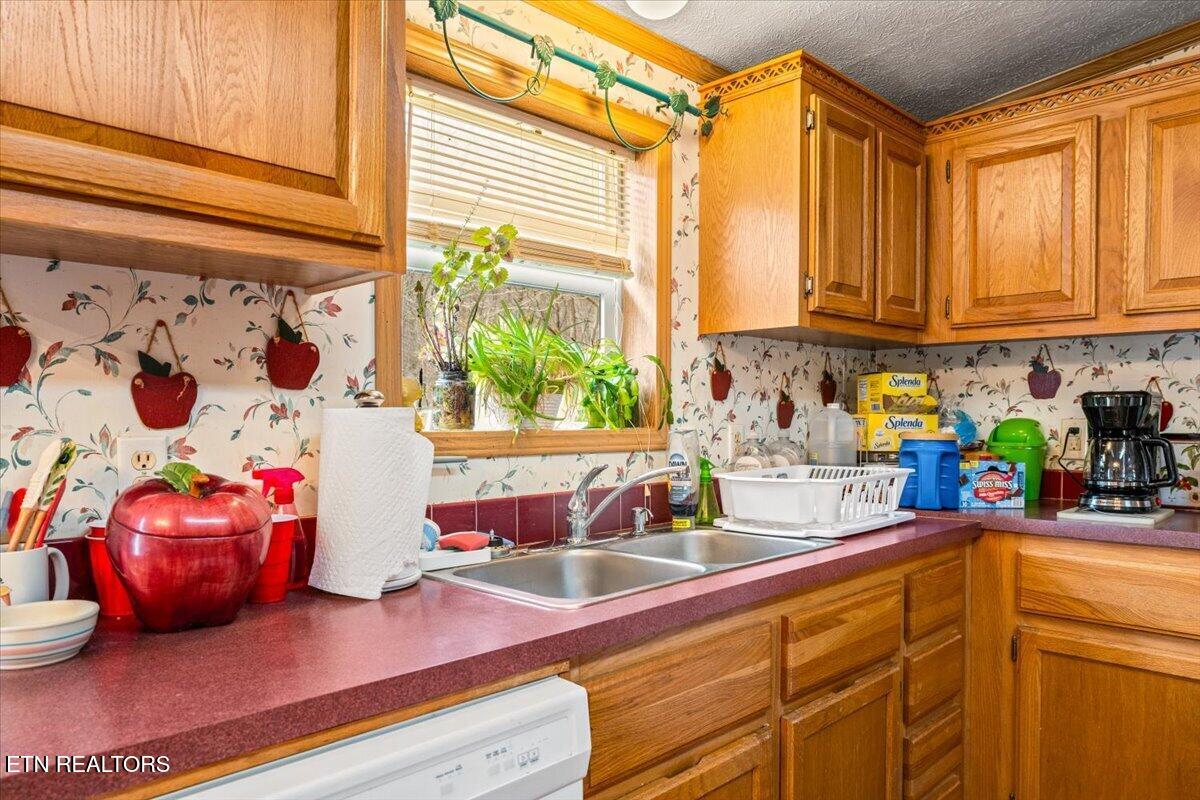 223 White Lane Caryville TN 37714