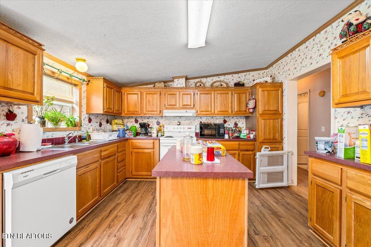 223 White Lane Caryville TN 37714