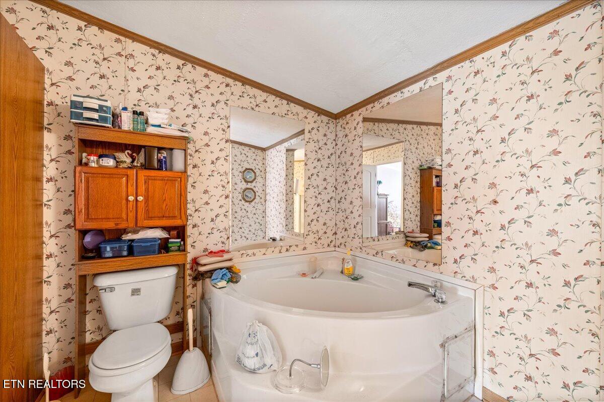 223 White Lane Caryville TN 37714