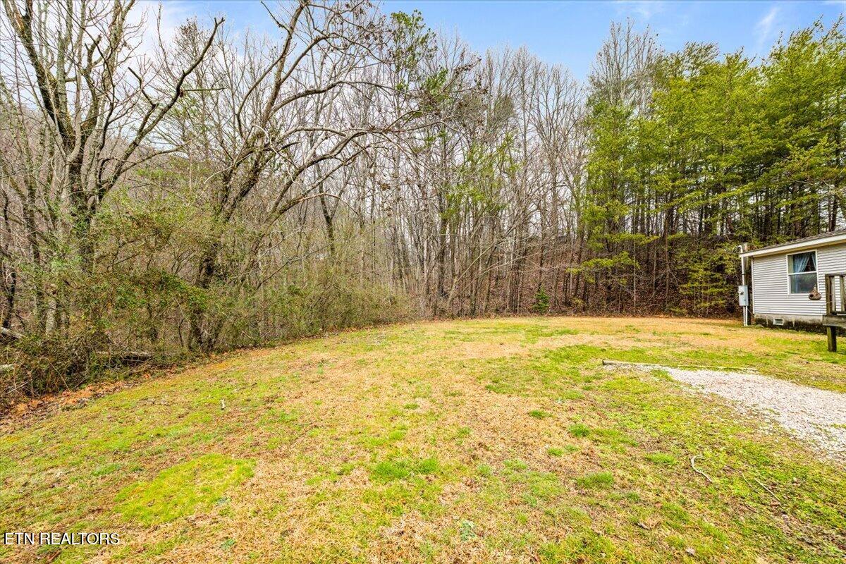 223 White Lane Caryville TN 37714