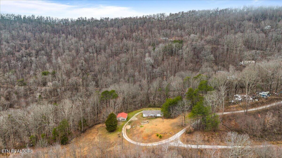 223 White Lane Caryville TN 37714