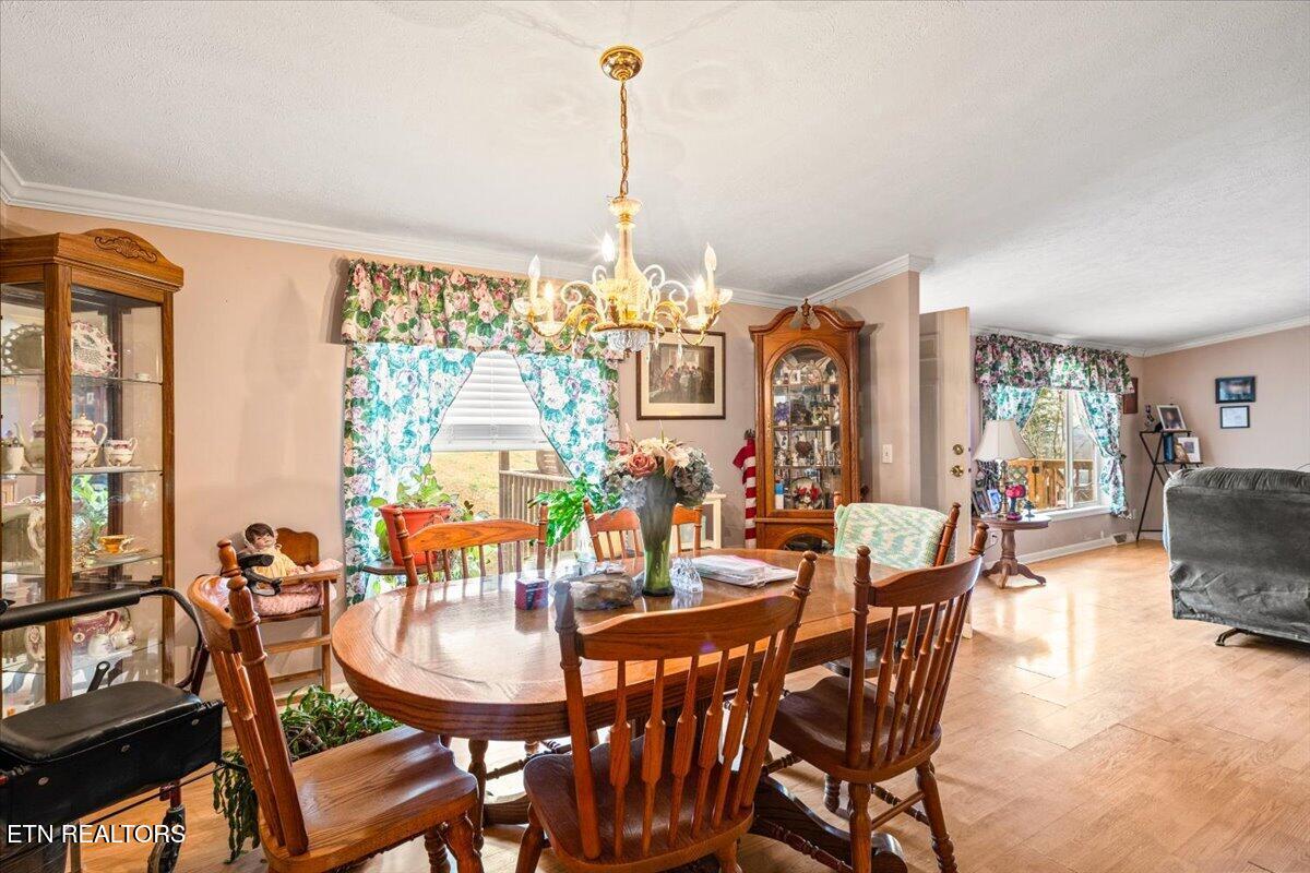 223 White Lane Caryville TN 37714