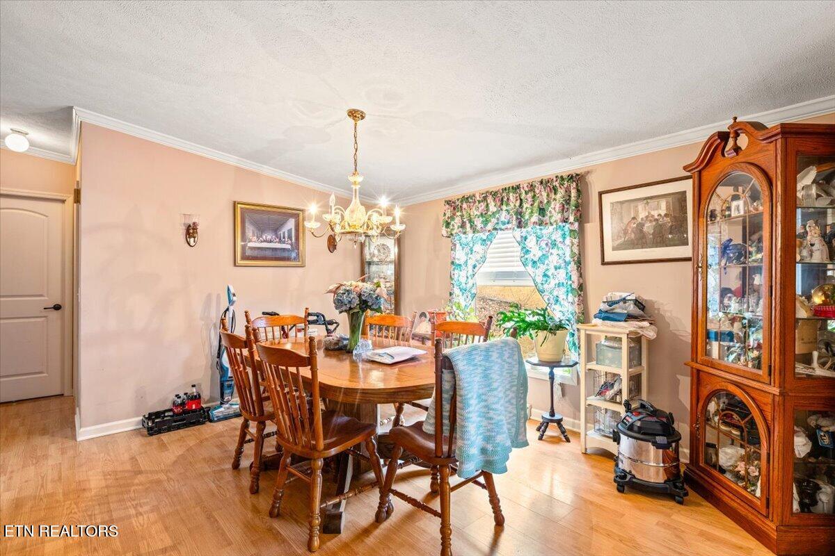 223 White Lane Caryville TN 37714