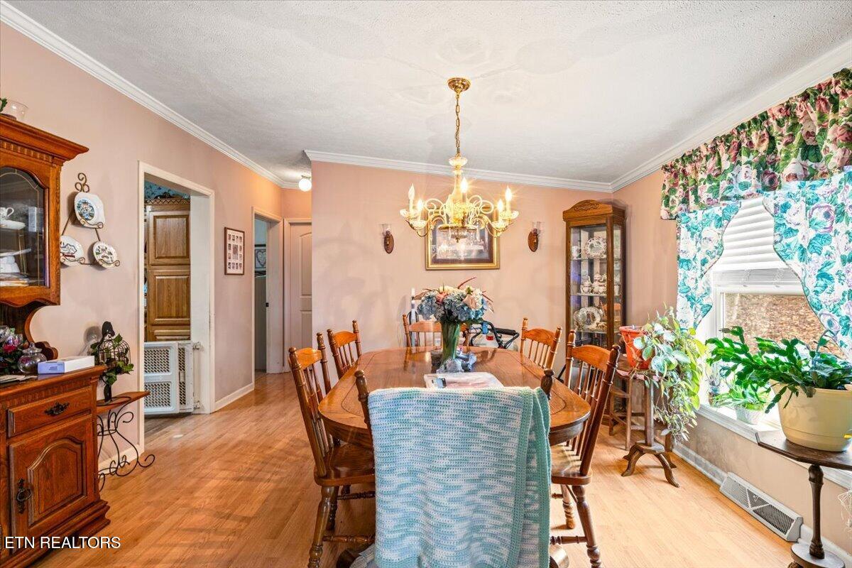 223 White Lane Caryville TN 37714
