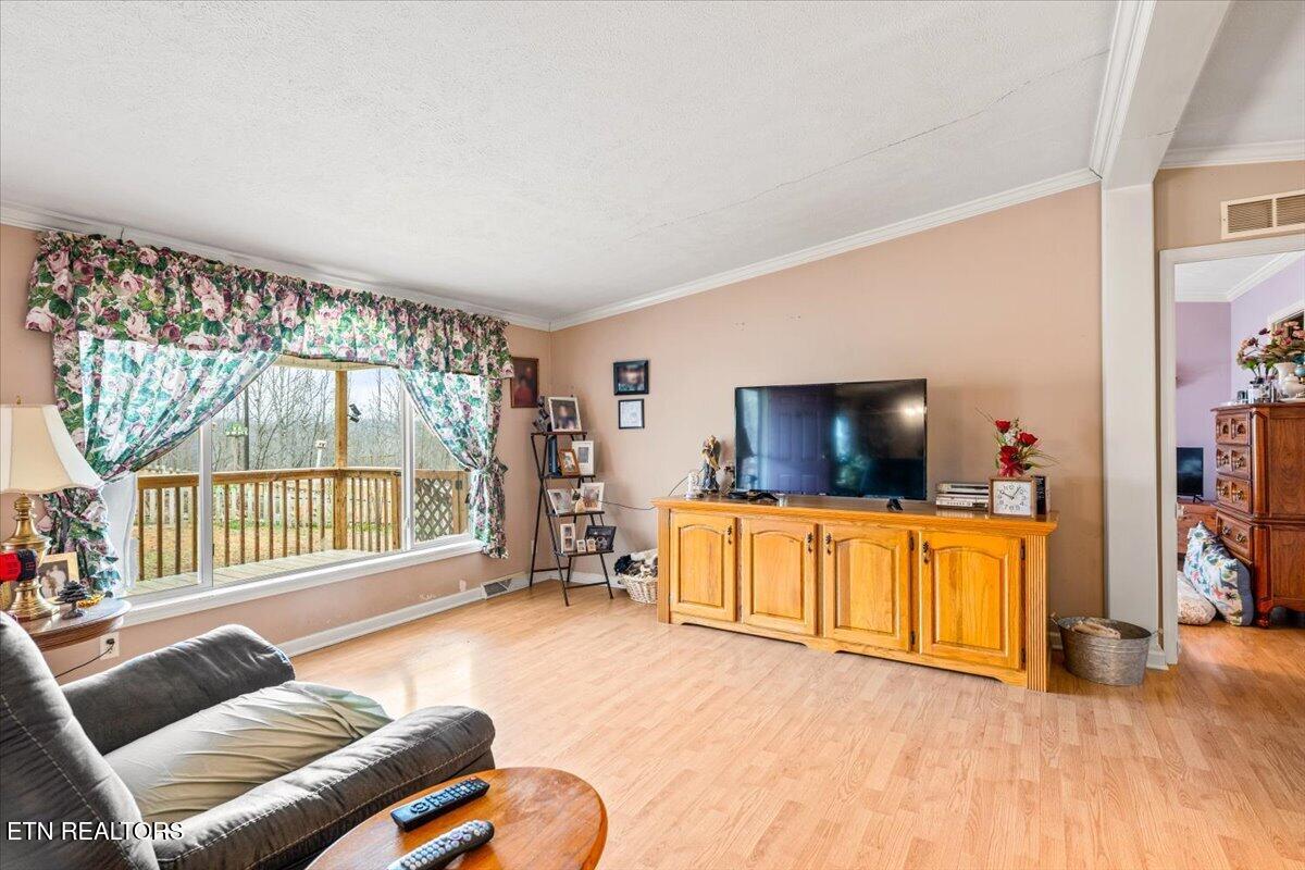 223 White Lane Caryville TN 37714