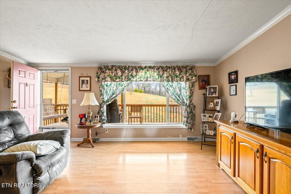 223 White Lane Caryville TN 37714