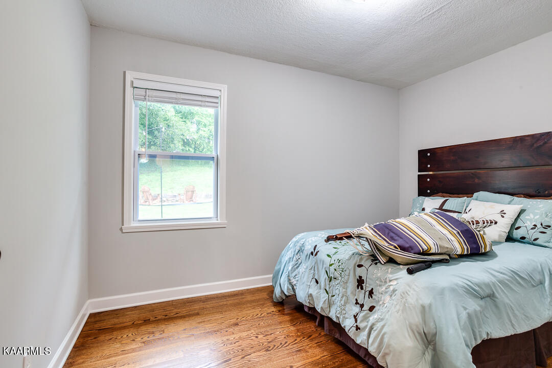 113 Caron Drive Knoxville TN 37912