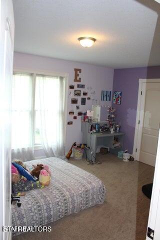 541 Mae Drive Jamestown TN 38556