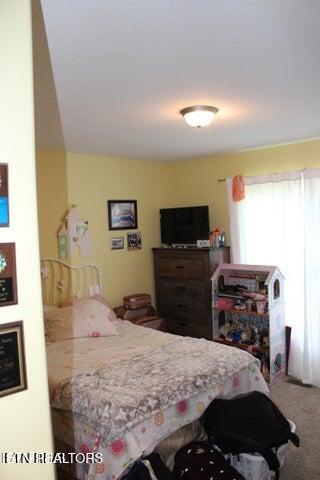 541 Mae Drive Jamestown TN 38556