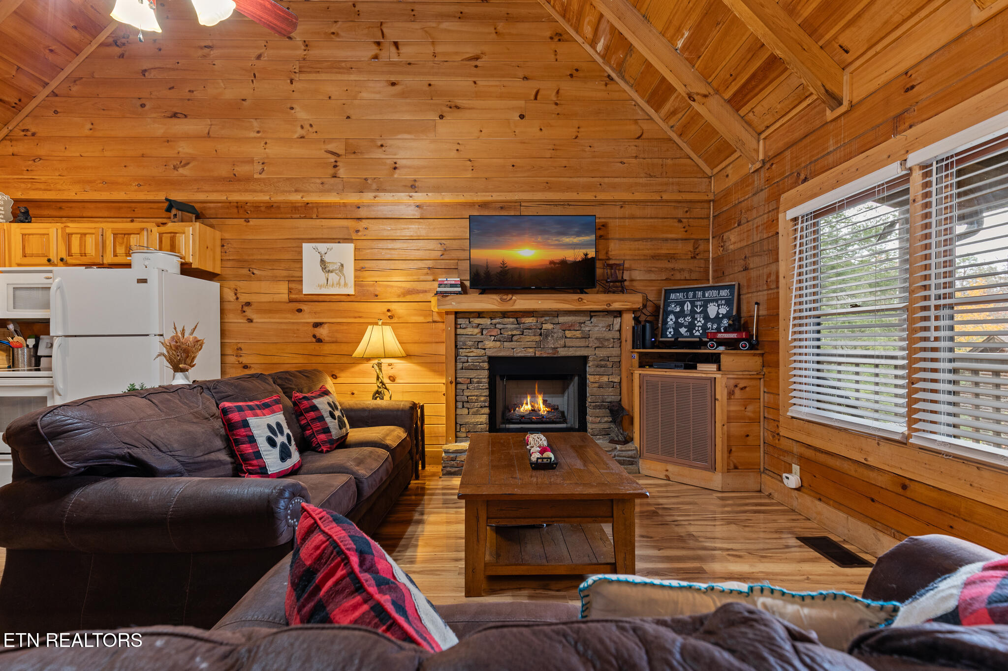 716 Golden Eagle Way Pigeon Forge TN 37863