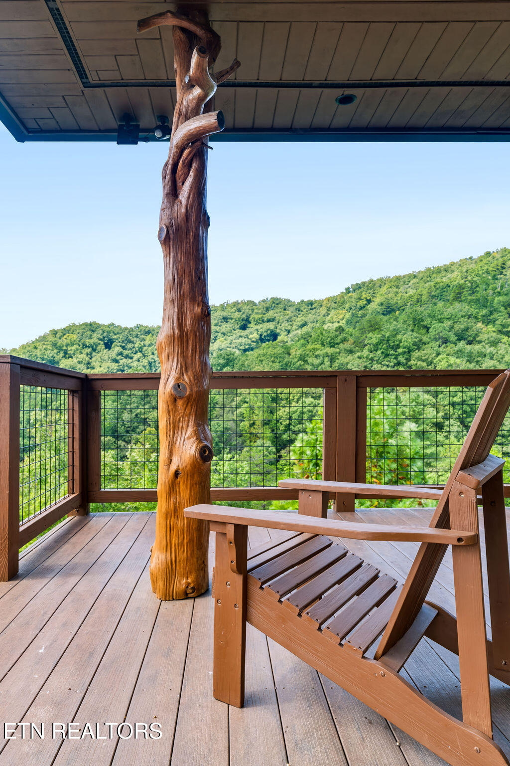 1441 Mountain Ash Way Sevierville TN 37876