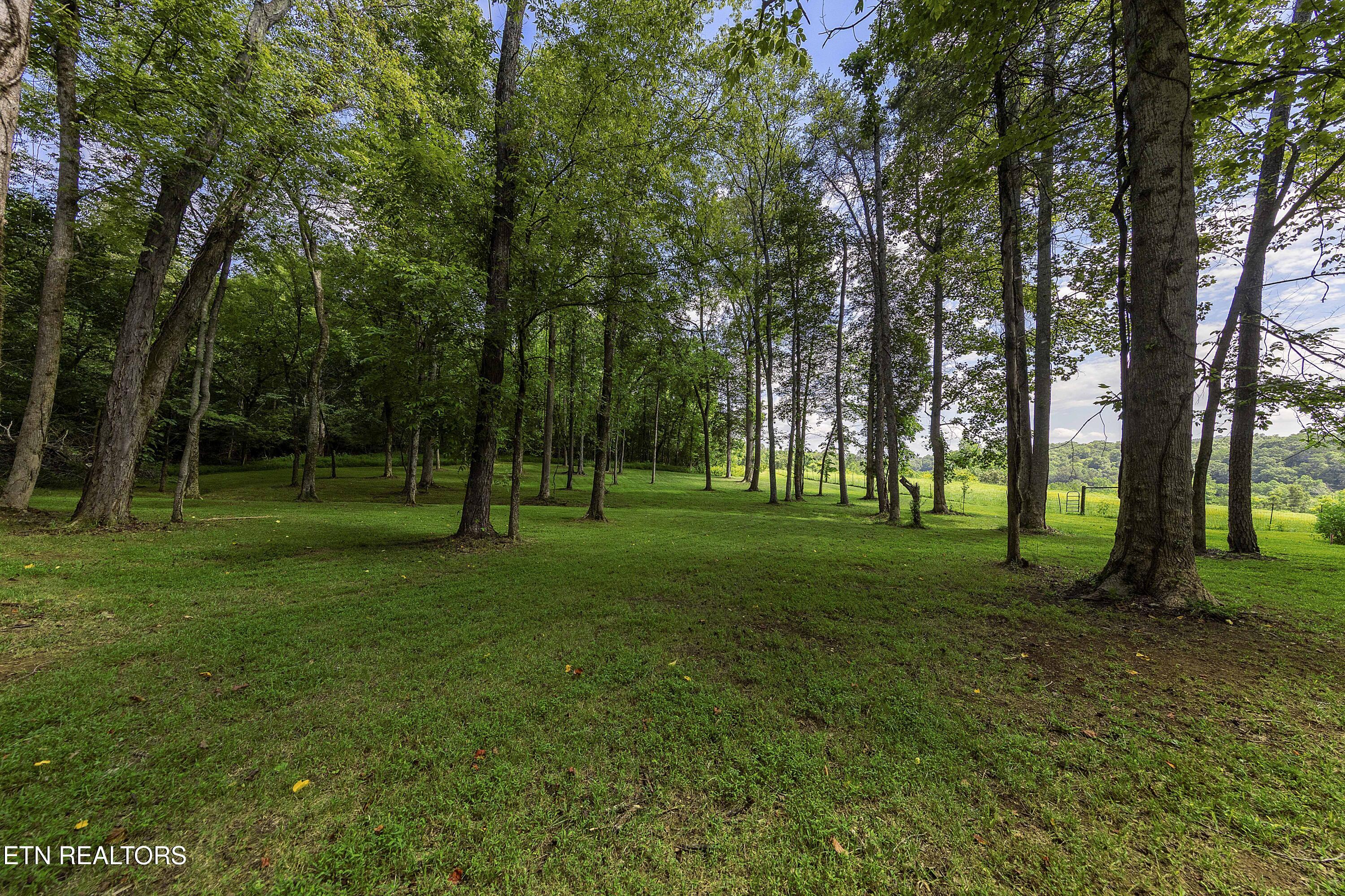 970 Cave Creek Road Loudon TN 37774