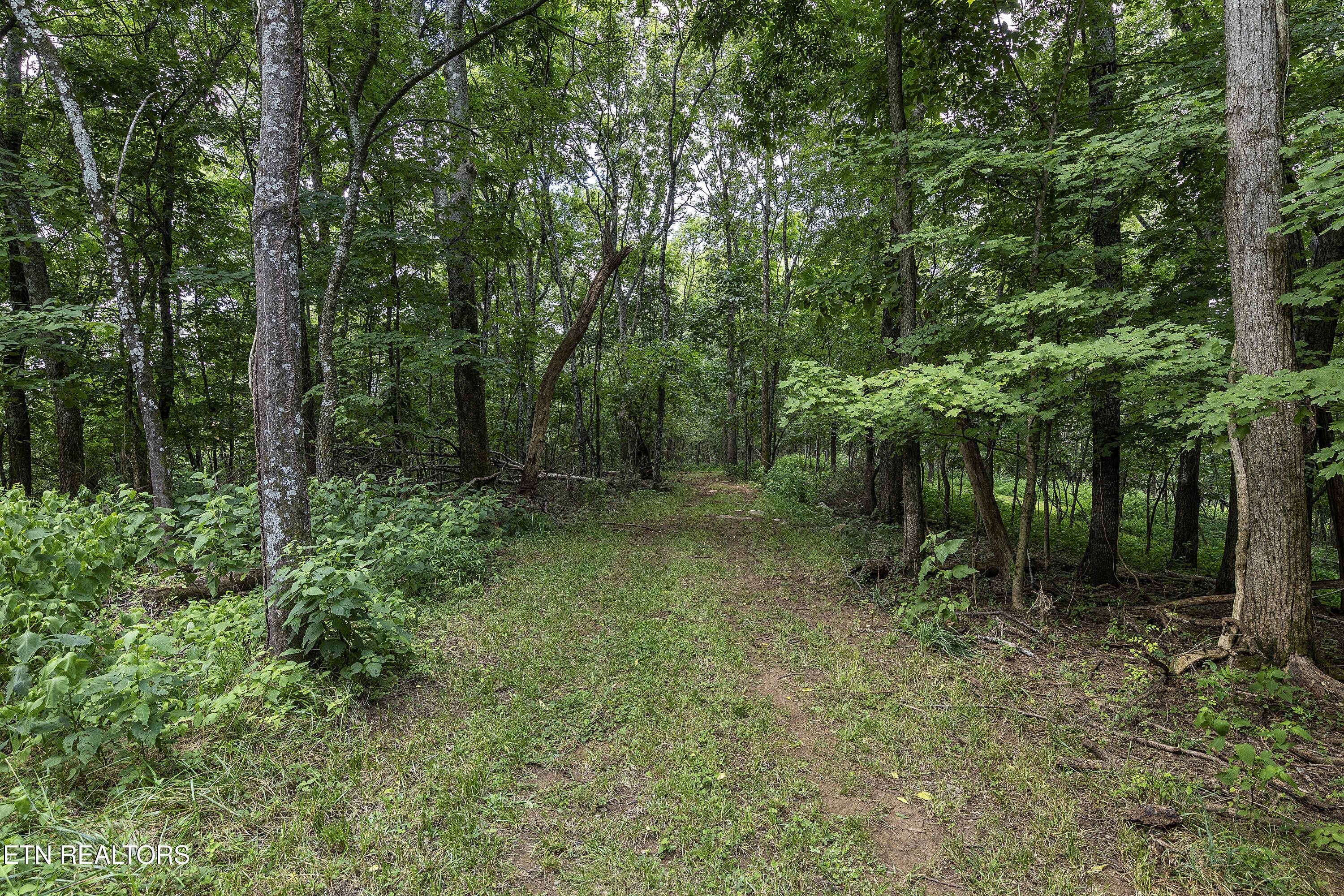 970 Cave Creek Road Loudon TN 37774