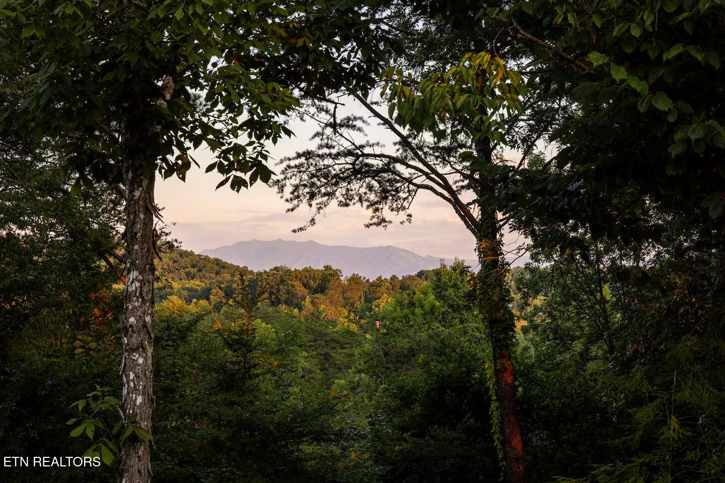 218 Rule Way Sevierville TN 37876