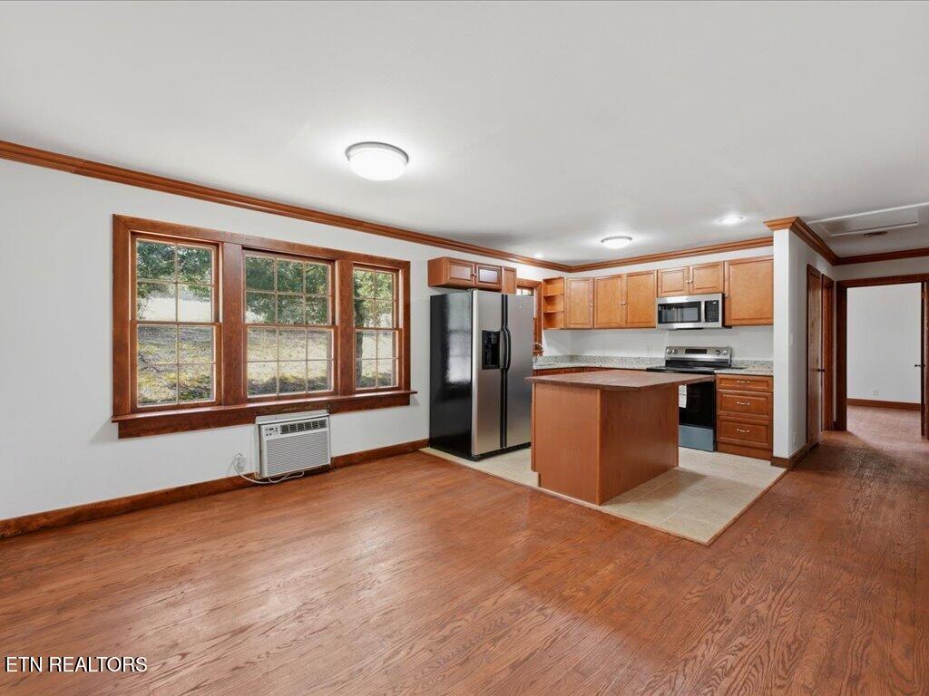 541 Big Springs Drive Mosheim TN 37818