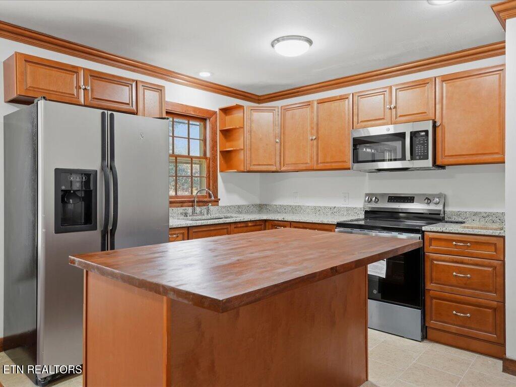 541 Big Springs Drive Mosheim TN 37818