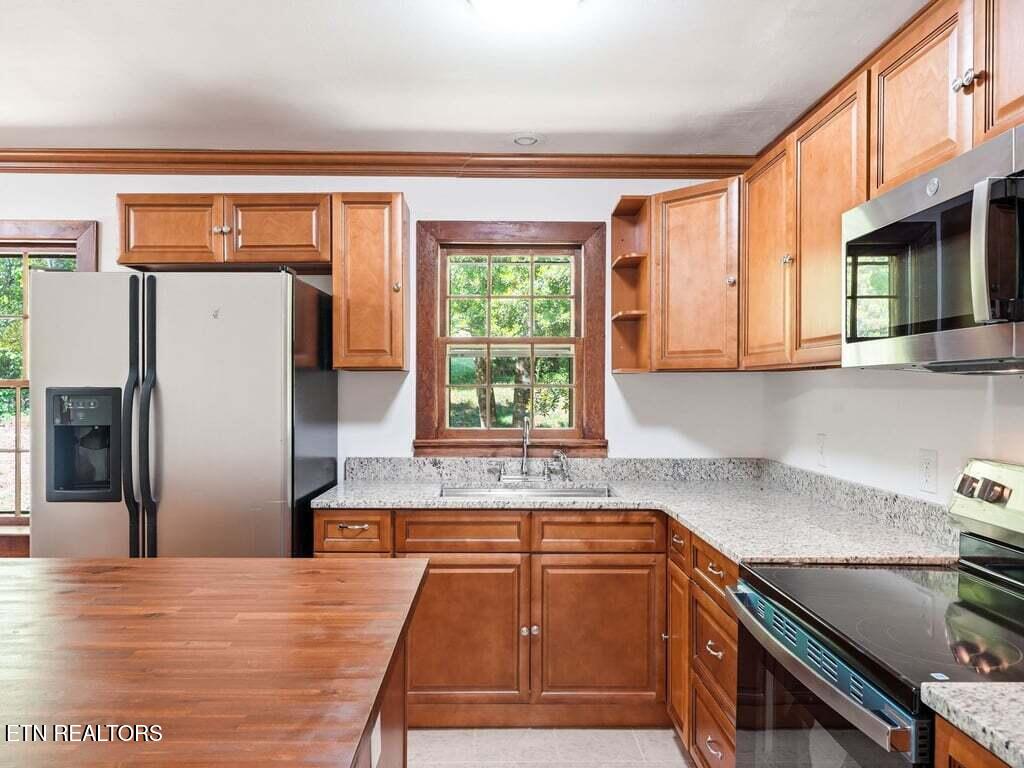 541 Big Springs Drive Mosheim TN 37818