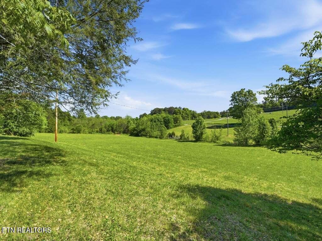 541 Big Springs Drive Mosheim TN 37818