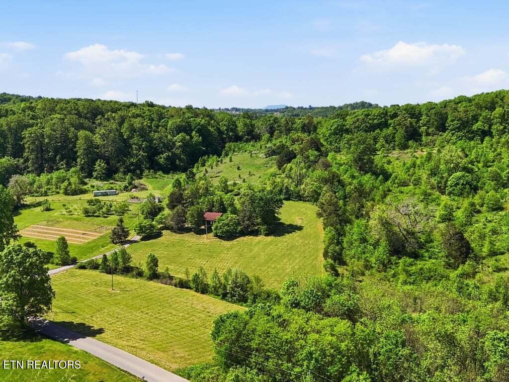 541 Big Springs Drive Mosheim TN 37818