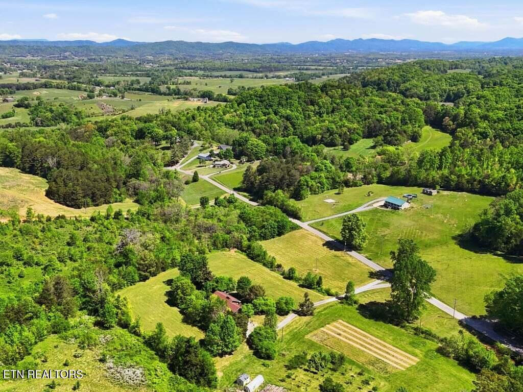 541 Big Springs Drive Mosheim TN 37818
