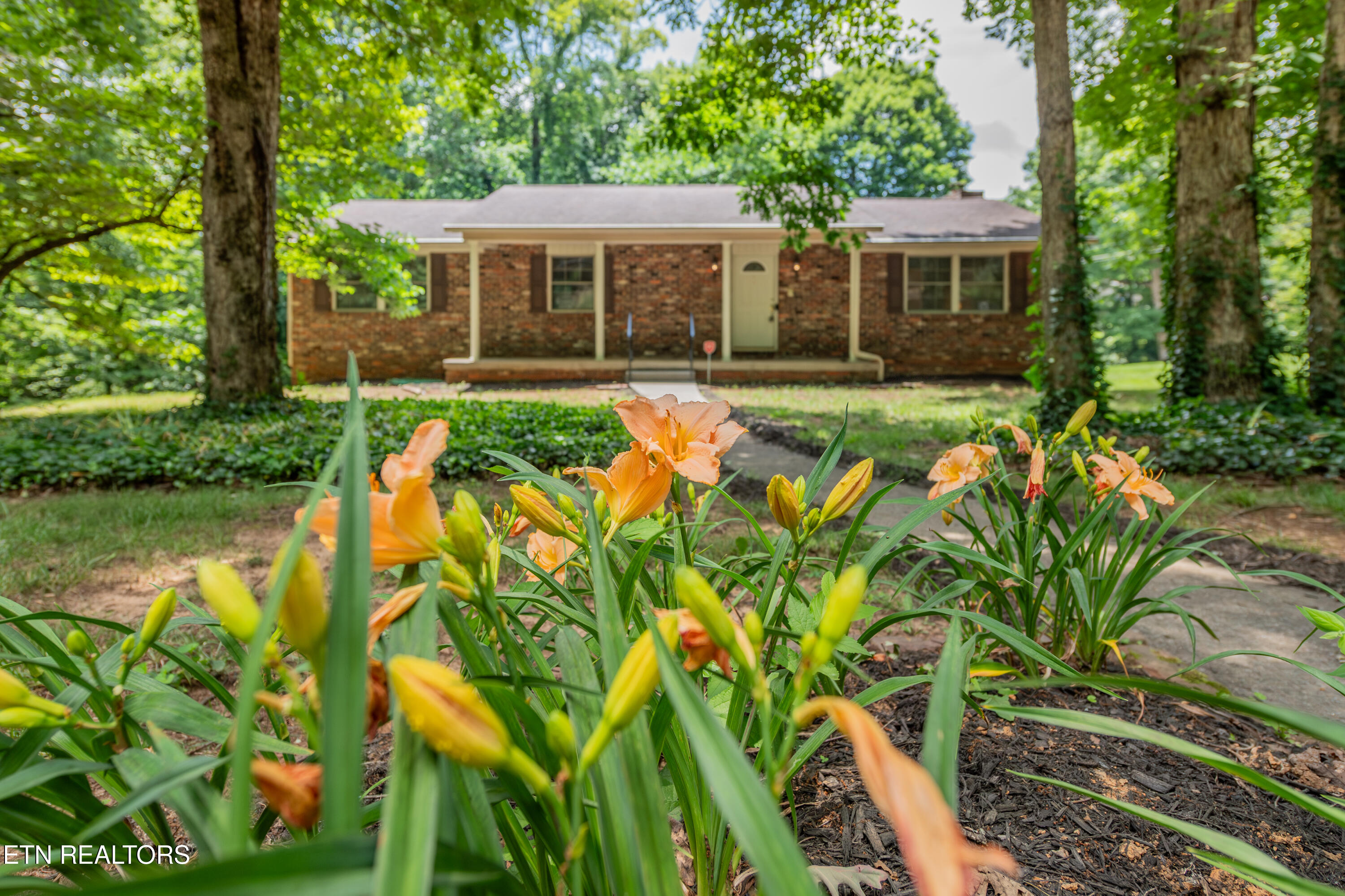 1105 Delray Road Knoxville TN 37923