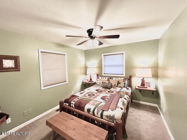 5987 Hopi Way Del Rio TN 37727