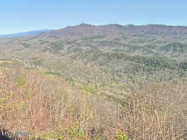 5987 Hopi Way Del Rio TN 37727