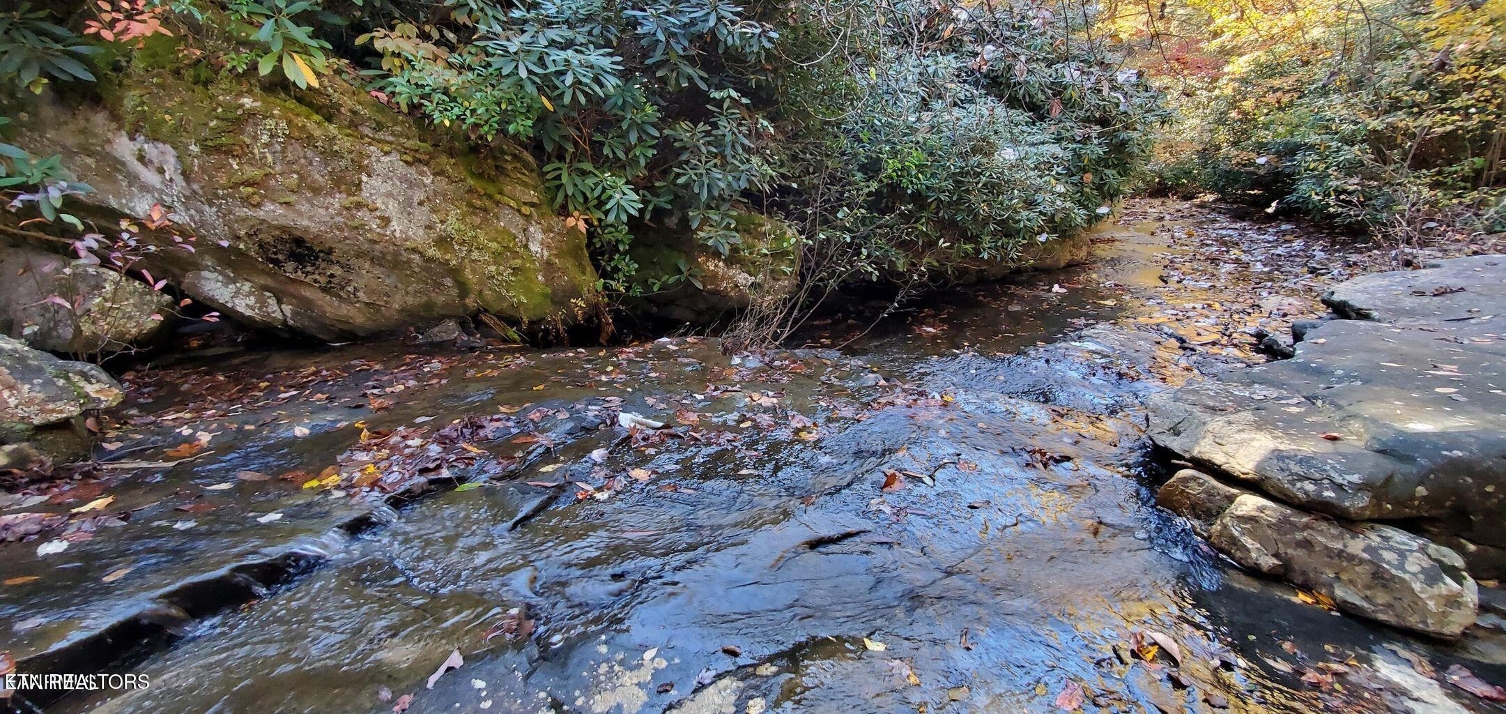 1532 E Overlook Road Monterey TN 38574