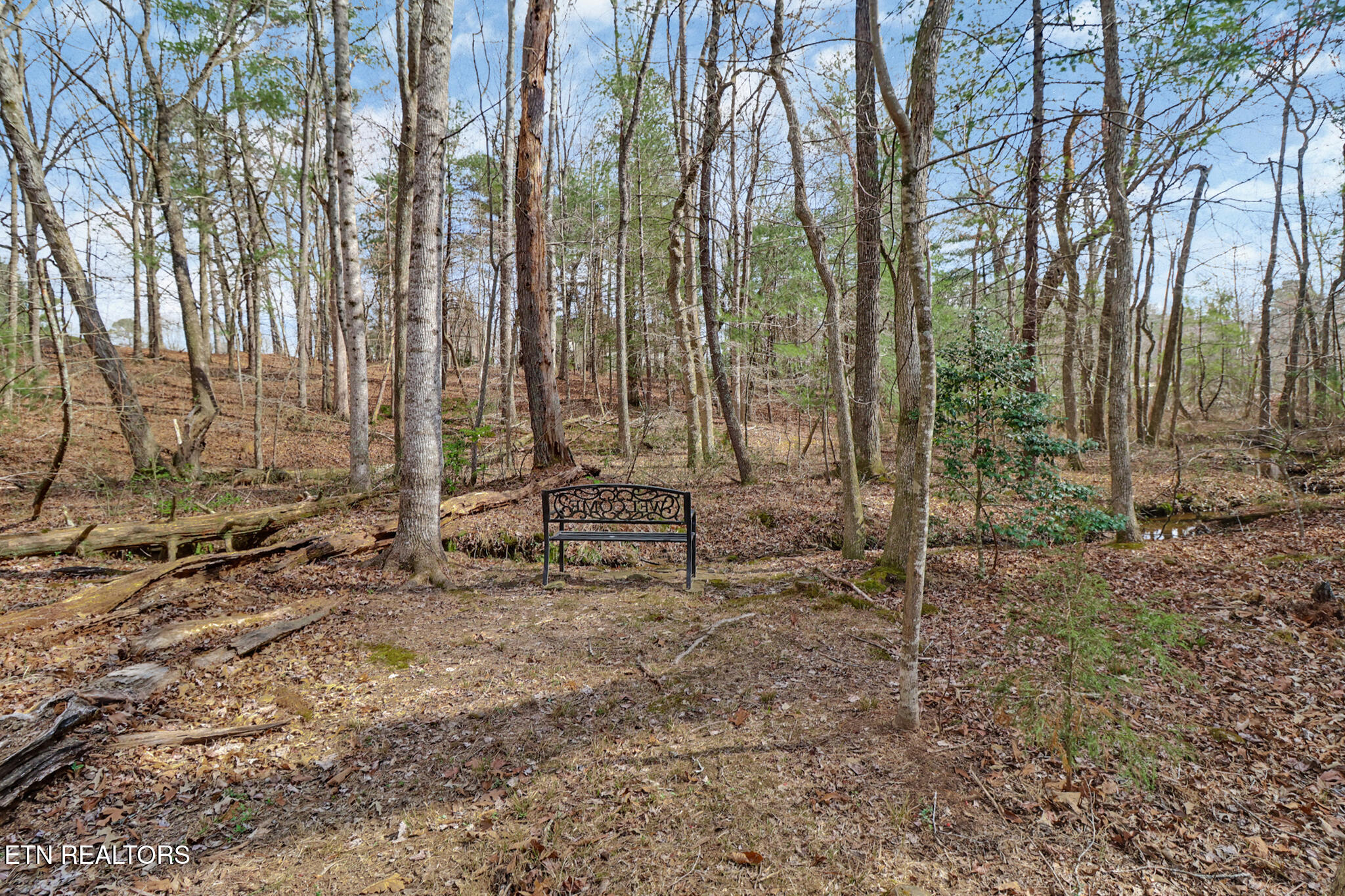 115 Conrad Drive Crossville TN 38558