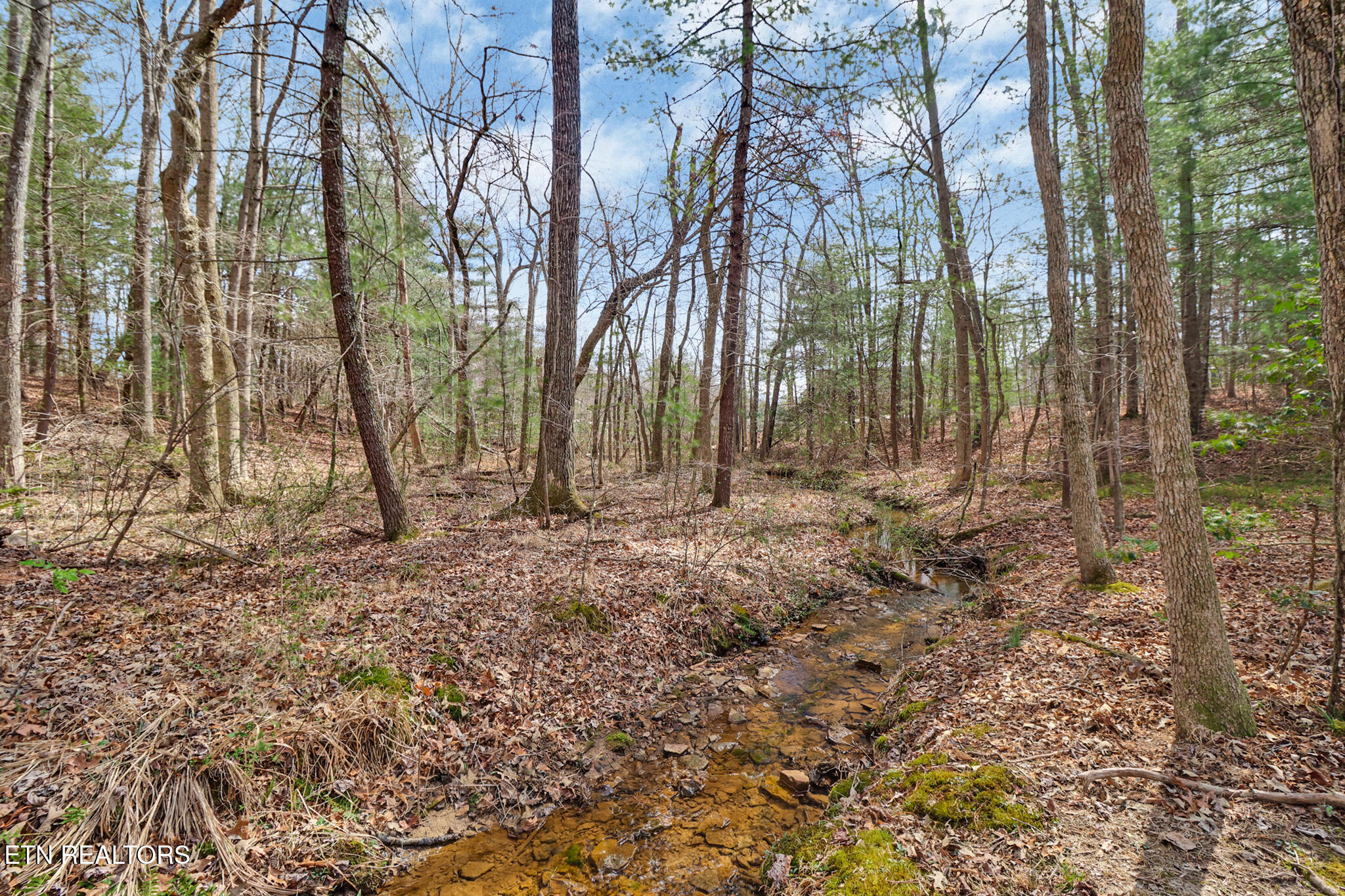 115 Conrad Drive Crossville TN 38558