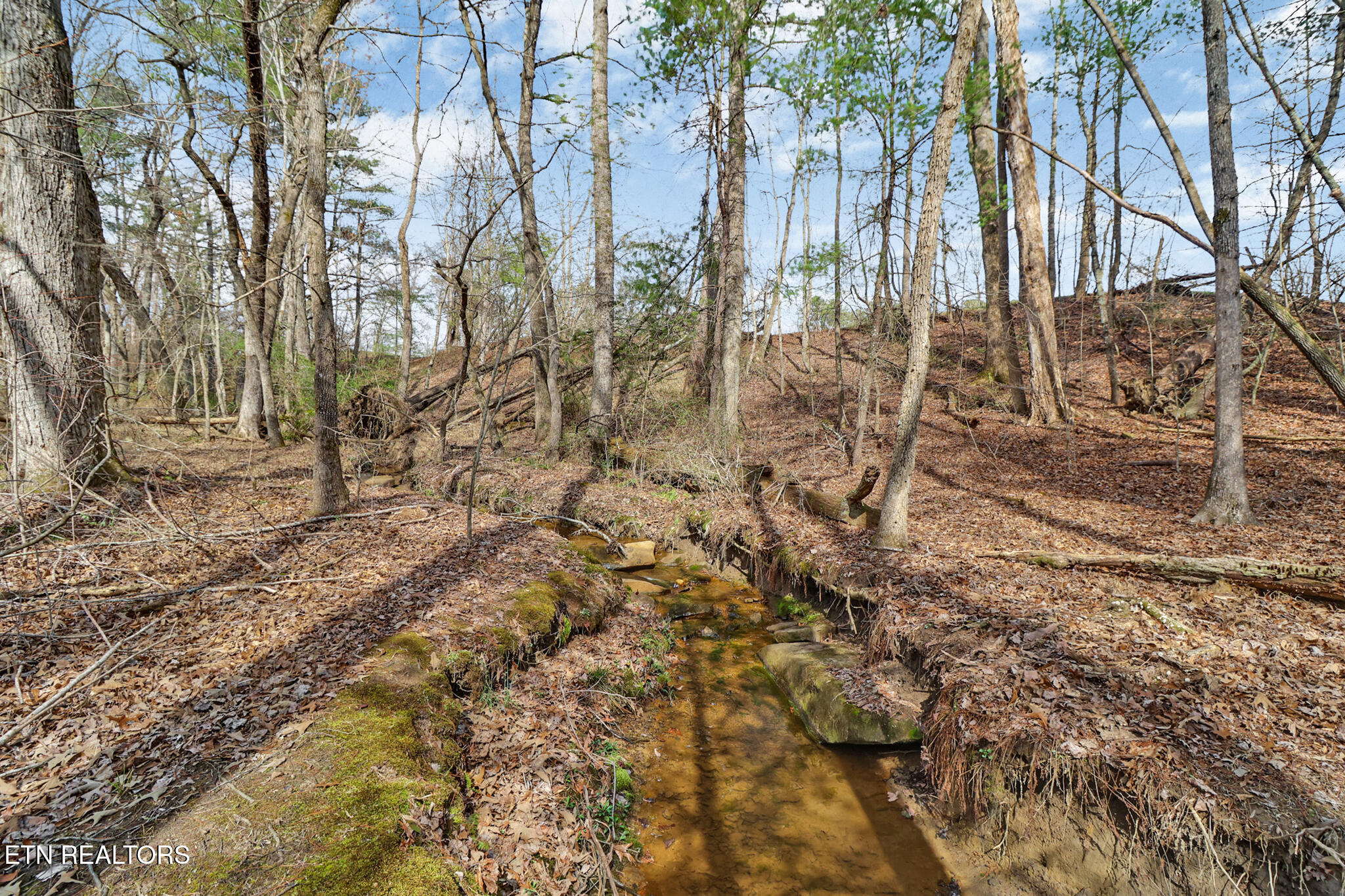 115 Conrad Drive Crossville TN 38558