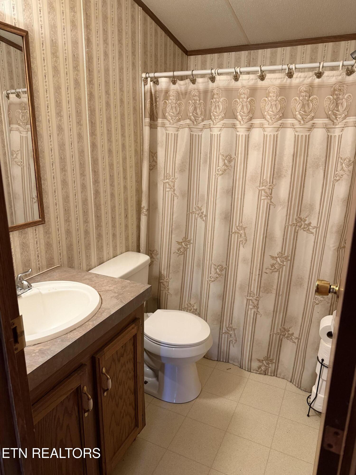 1529 Creamery Street White Pine TN 37890