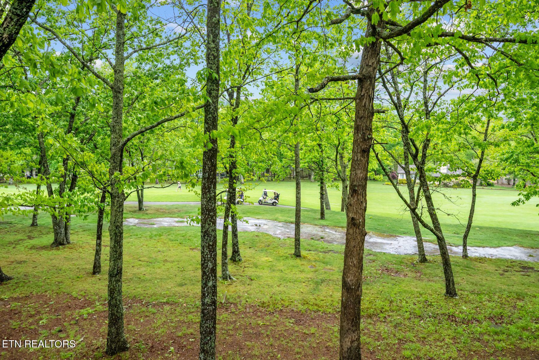 116 Greenwood Road Crossville TN 38558