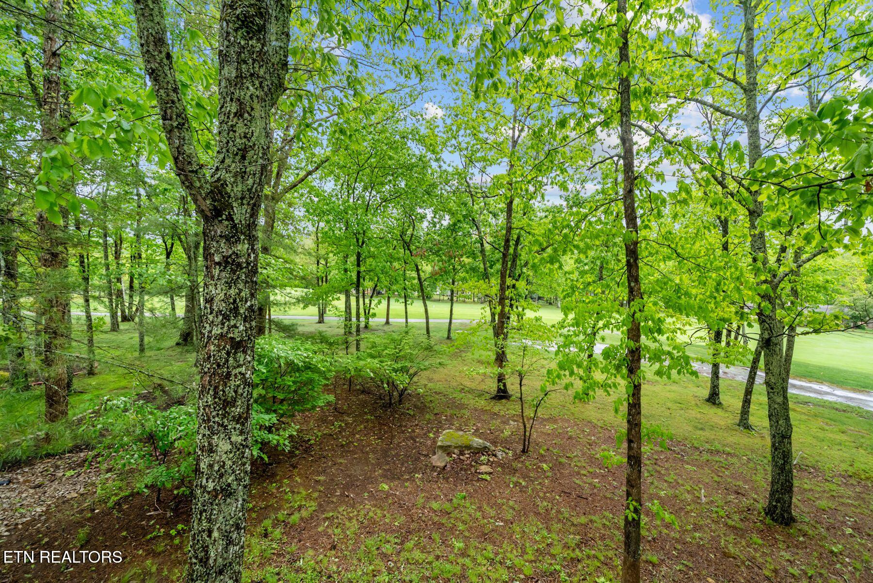 116 Greenwood Road Crossville TN 38558