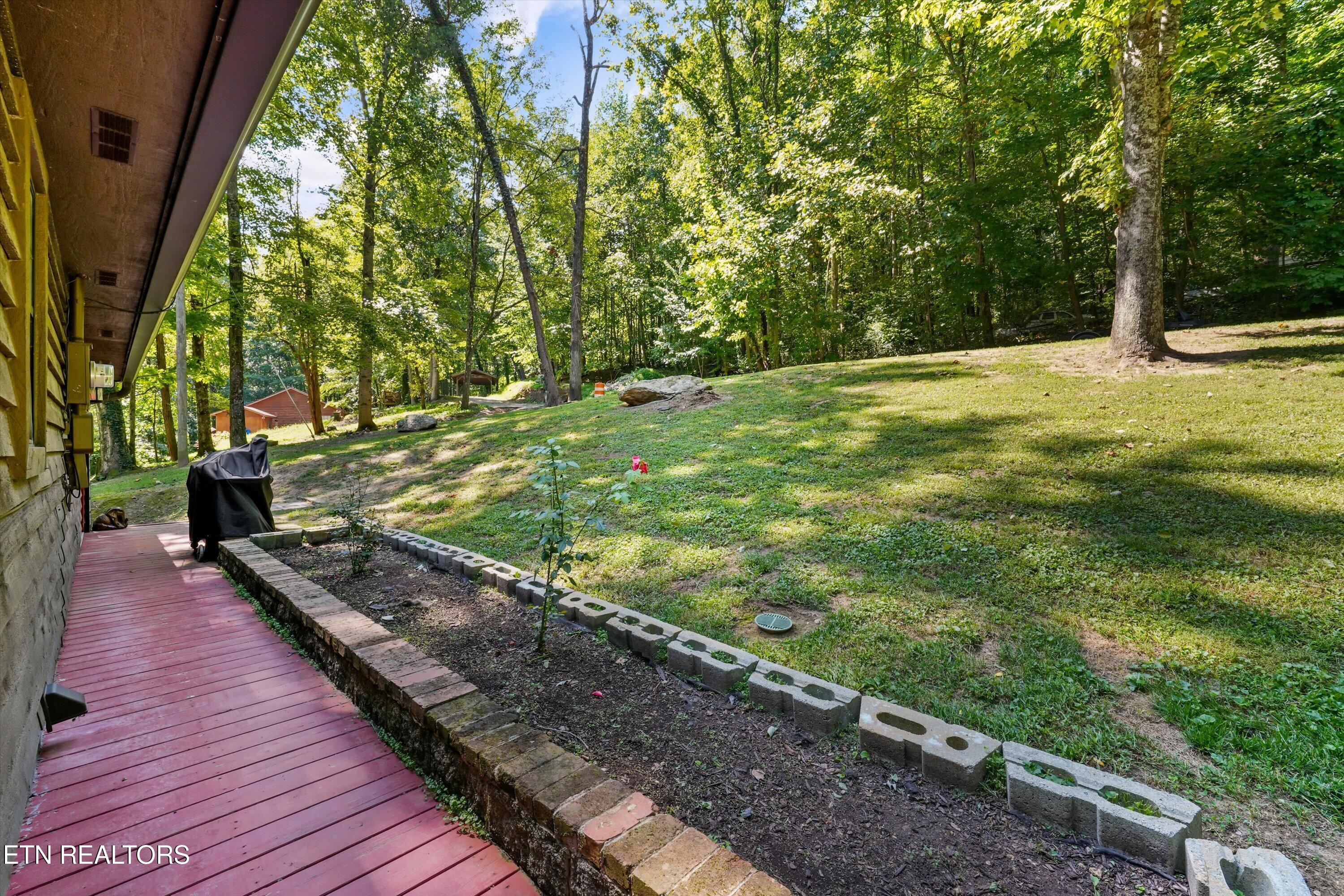 301 Bibee Lane Caryville TN 37714